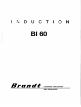 Brandt BI60X Owner's manual