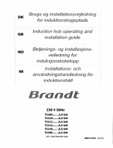 Groupe Brandt TI212BT1 Owner's manual