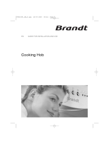 Brandt TE272WC1 Owner's manual