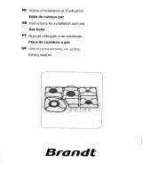 Brandt TE270XS1 Owner's manual