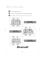 Groupe Brandt TE516XS1 Owner's manual