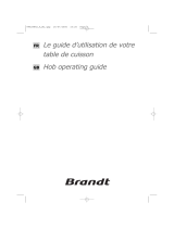 Groupe Brandt TE613ES1 Owner's manual