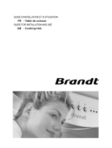 Groupe Brandt TE874XS1 Owner's manual