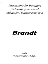 Groupe Brandt HFP65B1U Owner's manual