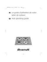 Brandt TG213BS1 Owner's manual