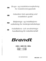 Brandt TI282XT1 Owner's manual
