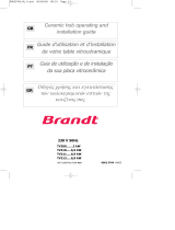 Groupe Brandt TV210BT1 Owner's manual