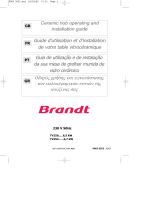Brandt TV252XT1 Owner's manual