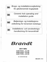 Brandt TV222BN1 Owner's manual