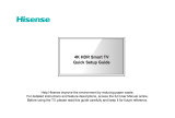 Hisense 43H6590F User manual