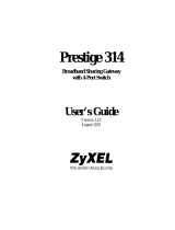ZyXEL P-314 User guide