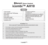 IcombiAH-10