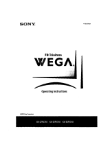 Sony KV-36FV310 Owner's manual