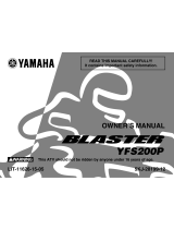 Yamaha BEARTRACKER YFM250XN Owner's manual