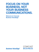 Polycom Business VoiceEdge User manual