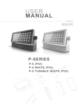 SGM P·5 TW User manual