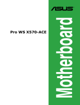 Asus Pro WS X570-ACE User manual