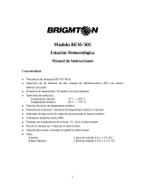 Brigmton BEM-501 Owner's manual