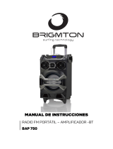 Brigmton BAP-900 Owner's manual