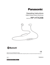 Panasonic RPHTX20BE Owner's manual