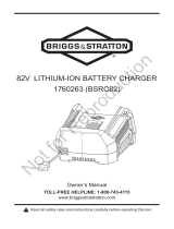 Briggs and StrattonSP1760263