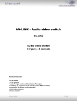 Caraudio Systems AV-LINK User manual