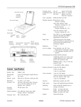 Epson B813071 User guide