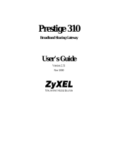 ZyXEL Communications ZyXEL Prestige 310 User manual