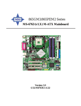 MSI 865PEM2 User manual