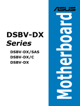 Asus DSBV-DX User manual