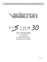 VidikronVision 10