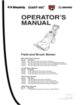 Briggs & Stratton GM2515KAW User manual