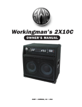 Workingman 2x10C User manual