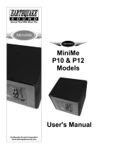 Earthquake Sound P12 User manual