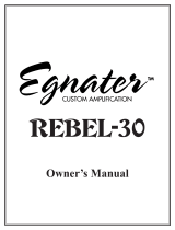Egnater Renegade 112 Owner's manual