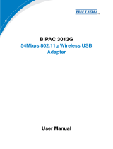 Billion Electric Company BIPAC 3013G User manual