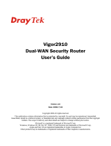 Draytek VIGOR2910VG User manual