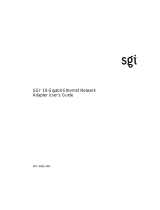 SGI 74669003 User manual