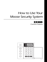 MOOSEMoose ZXSSD