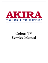 akira 21WHS3 User manual