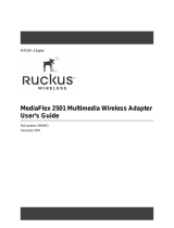 Ruckus WirelessMF2501