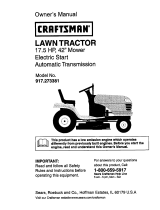 Craftsman 917.273381 User manual