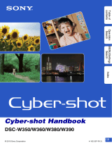 Sony Cyber-shot DSC-W390 User manual