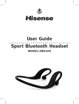 Hisense HB420S User manual