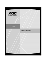AOC 173P User manual
