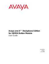 Avaya 16-300701 User manual