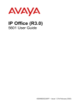 Avaya 5601 User manual
