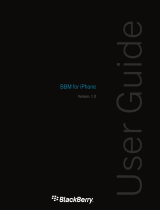 Blackberry 1 User manual