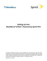 Blackberry 8703e User manual