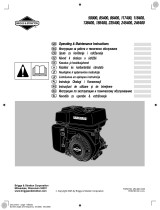 Briggs & Stratton 185437-0255-B1 User manual